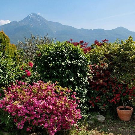 شقة Casa Vacanze Al Boschetto Poncetta المظهر الخارجي الصورة