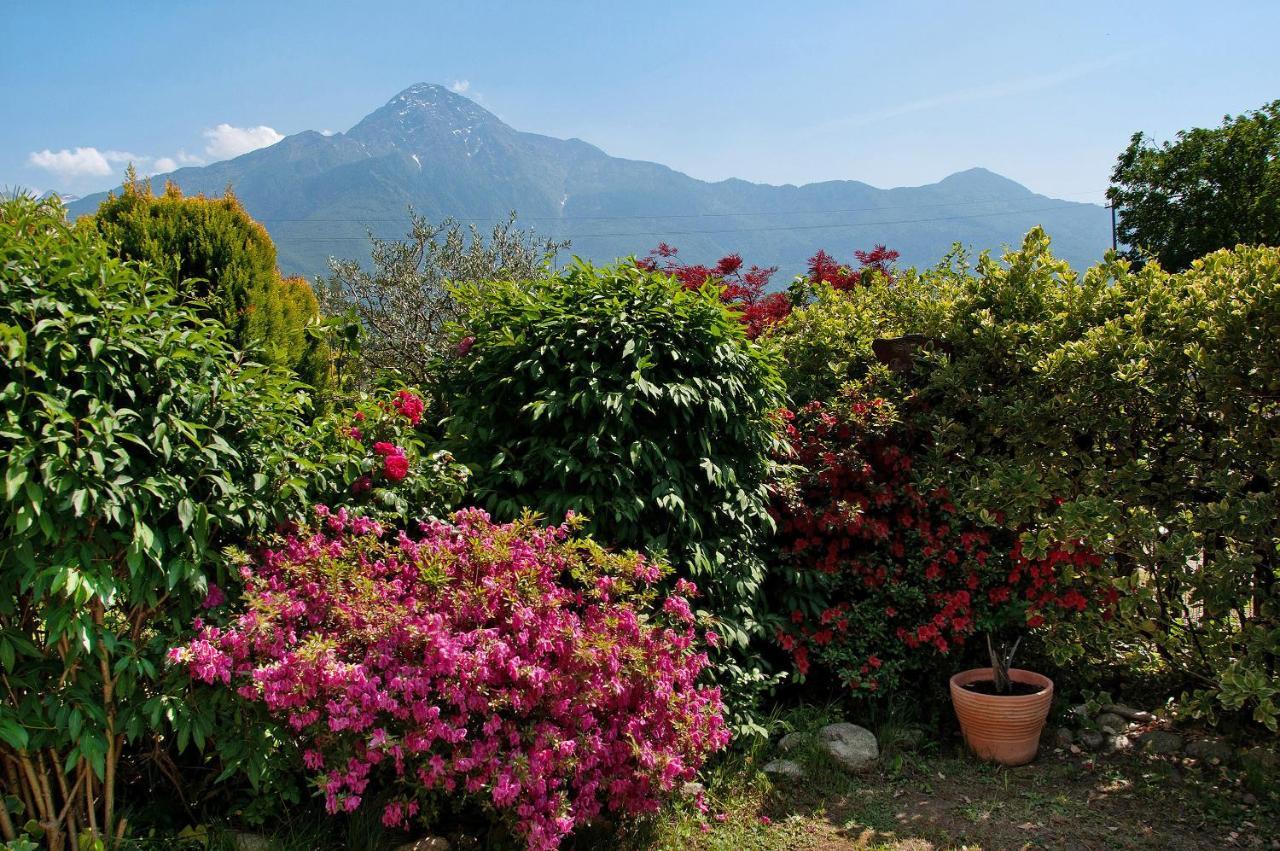 Casa Vacanze Al Boschetto Poncetta المظهر الخارجي الصورة
